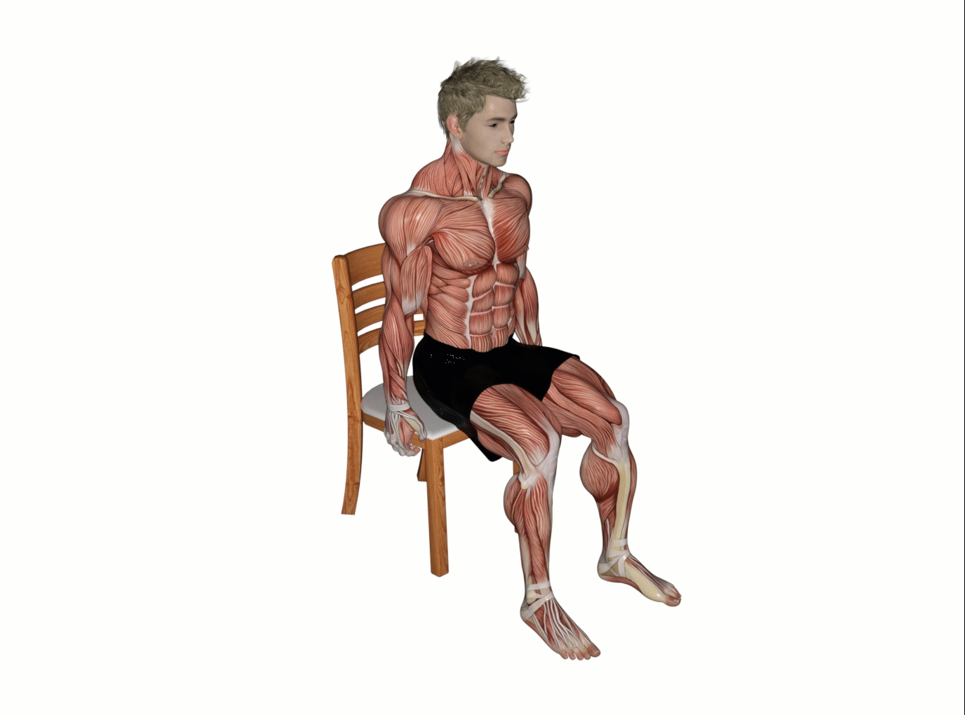 Adduction abduction – Your fitness success!
