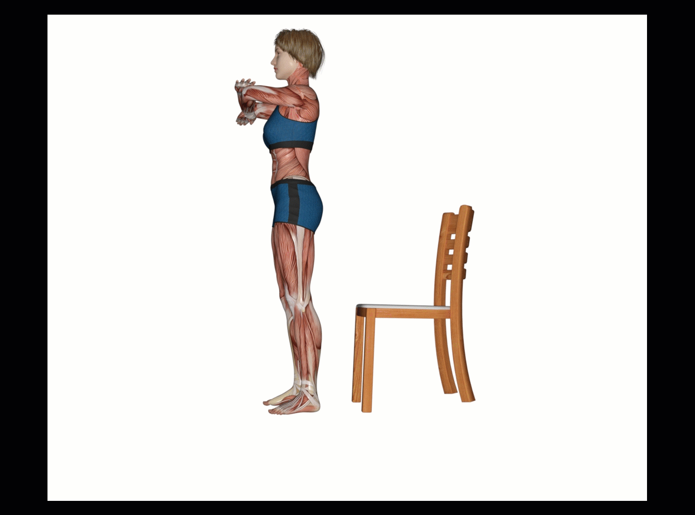 Chair squats Your fitness success!